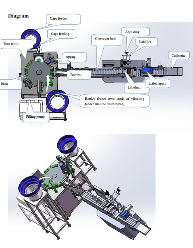 Tipus d'ampolles.jpg